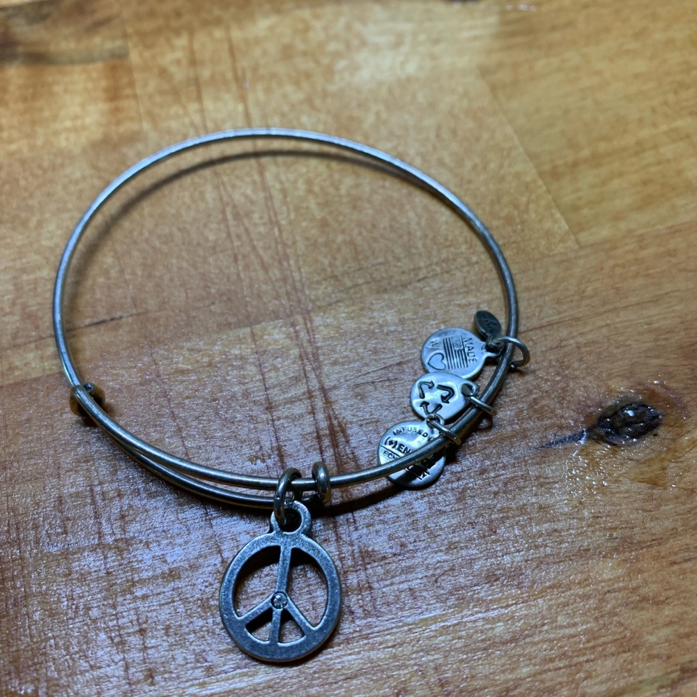 Alex and Ani Bangle
